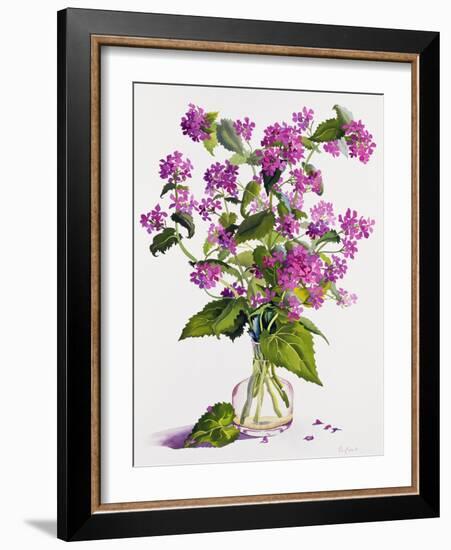 Honesty-Christopher Ryland-Framed Giclee Print