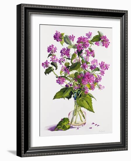 Honesty-Christopher Ryland-Framed Giclee Print