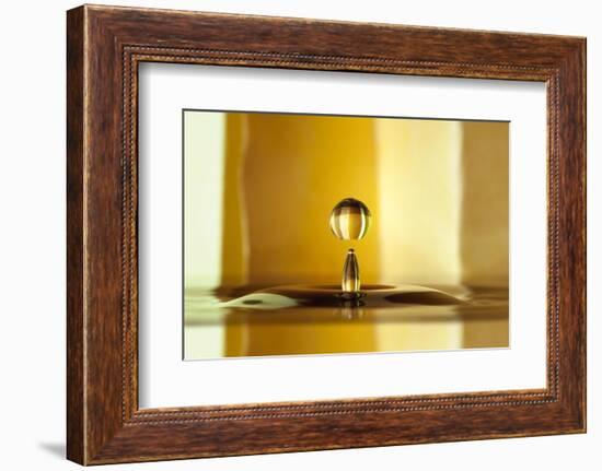 Honey and caramel-Heidi Westum-Framed Photographic Print