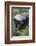 Honey Badger Or Ratel, Mellivora Capensis, Captive, Native To Africa-Ann & Steve Toon-Framed Photographic Print