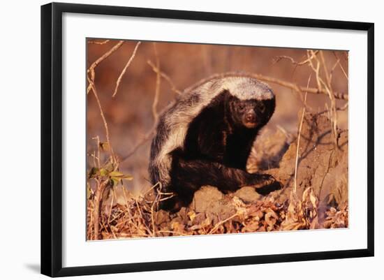 Photographic Print, , large