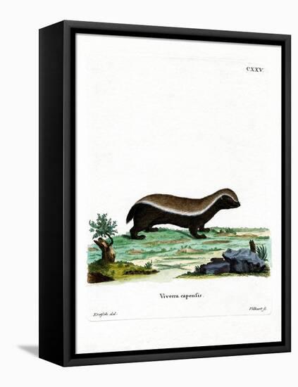 Honey Badger-null-Framed Premier Image Canvas