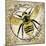 Honey Bee 02-LightBoxJournal-Mounted Giclee Print