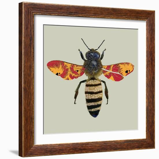 Honey Bee, 2010-Sarah Hough-Framed Giclee Print