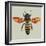 Honey Bee, 2010-Sarah Hough-Framed Giclee Print