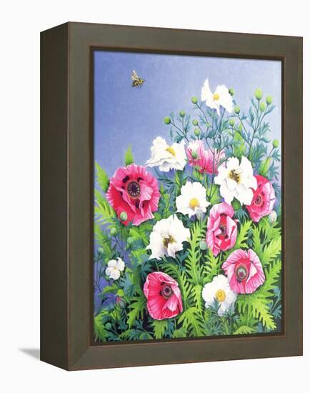 Honey Bee, Honey Bee-Pat Scott-Framed Premier Image Canvas