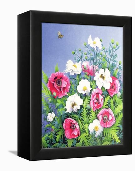 Honey Bee, Honey Bee-Pat Scott-Framed Premier Image Canvas