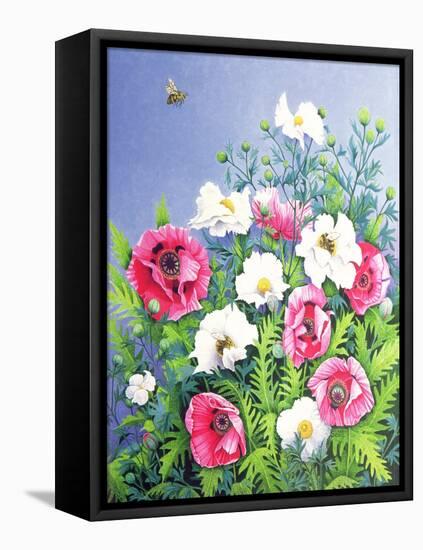 Honey Bee, Honey Bee-Pat Scott-Framed Premier Image Canvas