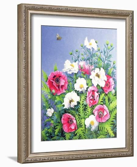 Honey Bee, Honey Bee-Pat Scott-Framed Giclee Print