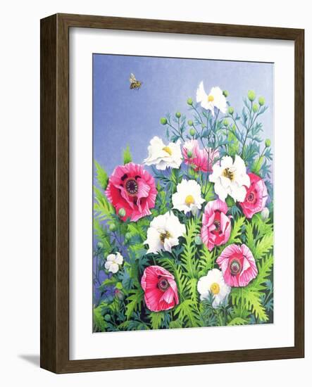 Honey Bee, Honey Bee-Pat Scott-Framed Giclee Print