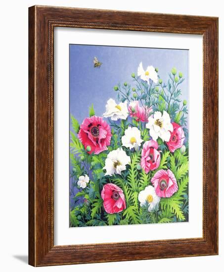 Honey Bee, Honey Bee-Pat Scott-Framed Giclee Print