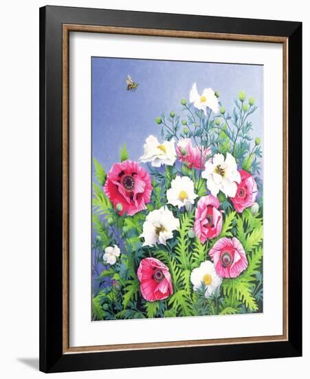 Honey Bee, Honey Bee-Pat Scott-Framed Giclee Print