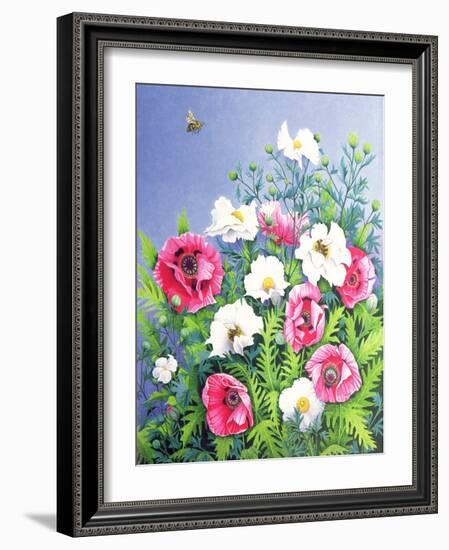 Honey Bee, Honey Bee-Pat Scott-Framed Giclee Print