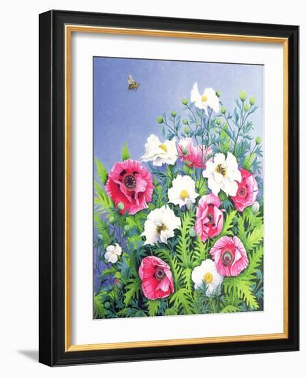 Honey Bee, Honey Bee-Pat Scott-Framed Giclee Print