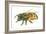 Honey Bee-Tim Knepp-Framed Giclee Print