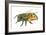 Honey Bee-Tim Knepp-Framed Giclee Print