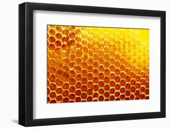 Honey Beehive-val lawless-Framed Photographic Print