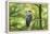 honey buzzard, Pernis apivorus, branch, wood, sidewise, sit-David & Micha Sheldon-Framed Premier Image Canvas