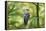 honey buzzard, Pernis apivorus, branch, wood, sidewise, sit-David & Micha Sheldon-Framed Premier Image Canvas