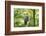 honey buzzard, Pernis apivorus, branch, wood, sidewise, sit-David & Micha Sheldon-Framed Photographic Print