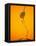 Honey Dipper-Lew Robertson-Framed Premier Image Canvas