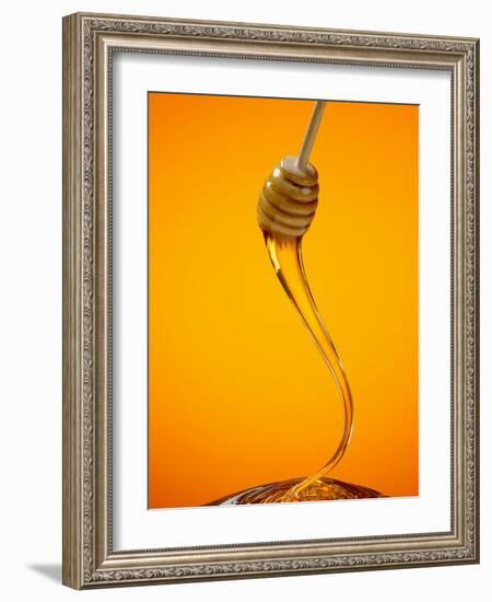 Honey Dipper-Lew Robertson-Framed Photographic Print