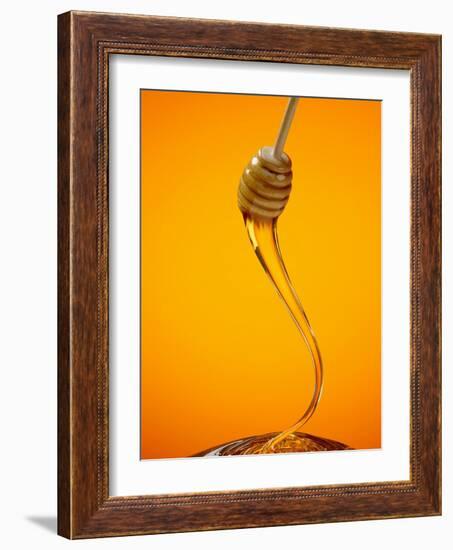 Honey Dipper-Lew Robertson-Framed Photographic Print