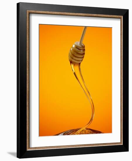 Honey Dipper-Lew Robertson-Framed Photographic Print