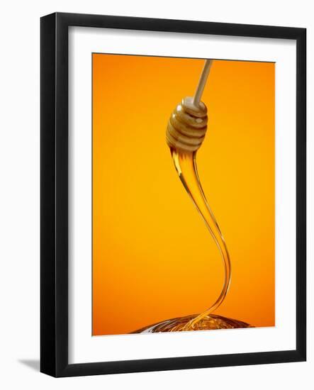 Honey Dipper-Lew Robertson-Framed Photographic Print