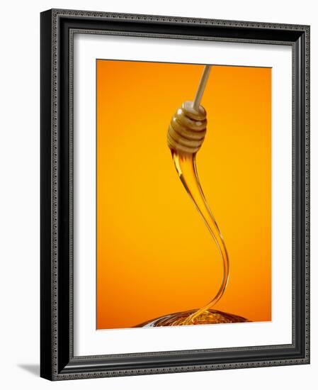 Honey Dipper-Lew Robertson-Framed Photographic Print