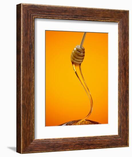 Honey Dipper-Lew Robertson-Framed Photographic Print