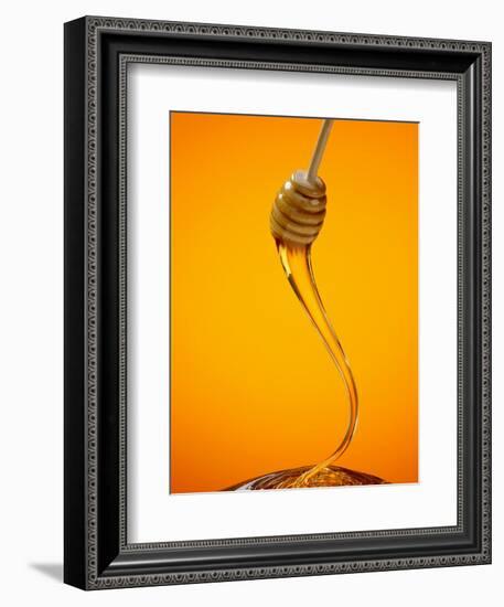 Honey Dipper-Lew Robertson-Framed Photographic Print