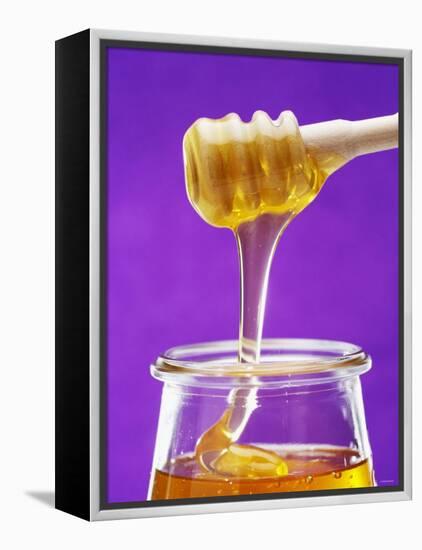 Honey Running from a Honey Dipper into a Jar-Marc O^ Finley-Framed Premier Image Canvas