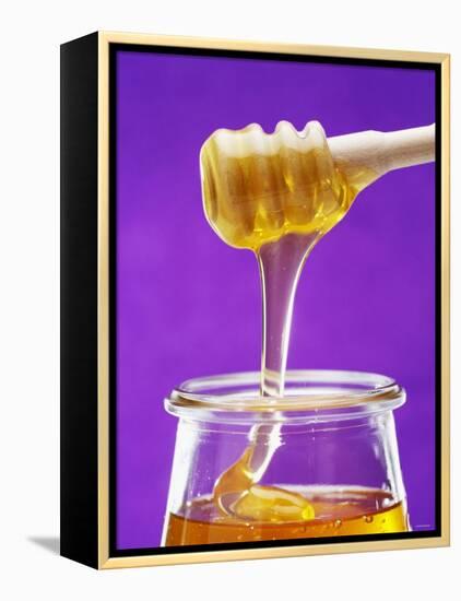 Honey Running from a Honey Dipper into a Jar-Marc O^ Finley-Framed Premier Image Canvas