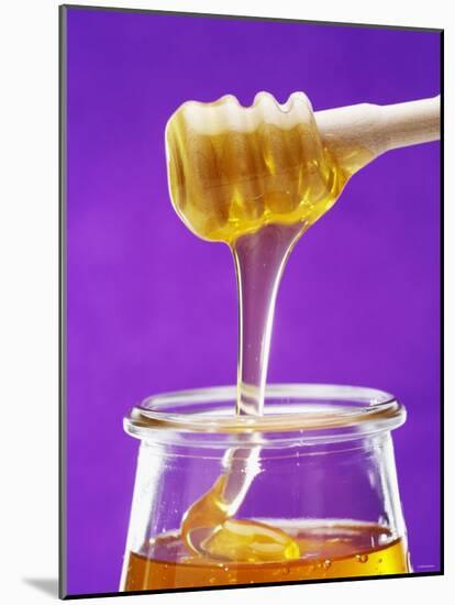 Honey Running from a Honey Dipper into a Jar-Marc O^ Finley-Mounted Photographic Print