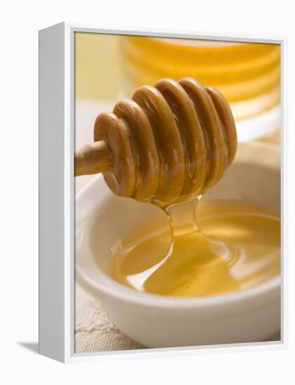 Honey Running from a Honey Dipper-null-Framed Premier Image Canvas