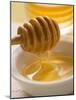 Honey Running from a Honey Dipper-null-Mounted Photographic Print