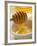 Honey Running from a Honey Dipper-null-Framed Photographic Print