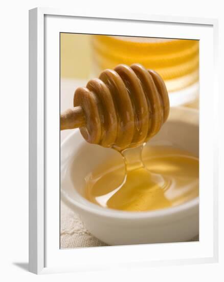 Honey Running from a Honey Dipper--Framed Photographic Print