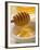 Honey Running from a Honey Dipper-null-Framed Photographic Print