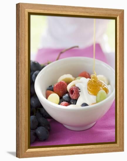 Honey Running onto Fruit Muesli with Yoghurt-null-Framed Premier Image Canvas