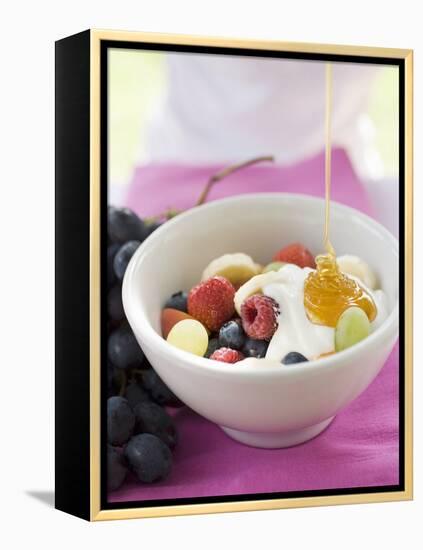 Honey Running onto Fruit Muesli with Yoghurt-null-Framed Premier Image Canvas
