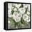 Honey White Blossoms-Carol Robinson-Framed Stretched Canvas