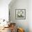 Honey White Blossoms-Carol Robinson-Framed Art Print displayed on a wall