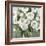 Honey White Blossoms-Carol Robinson-Framed Art Print