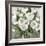 Honey White Blossoms-Carol Robinson-Framed Art Print