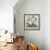 Honey White Blossoms-Carol Robinson-Framed Art Print displayed on a wall