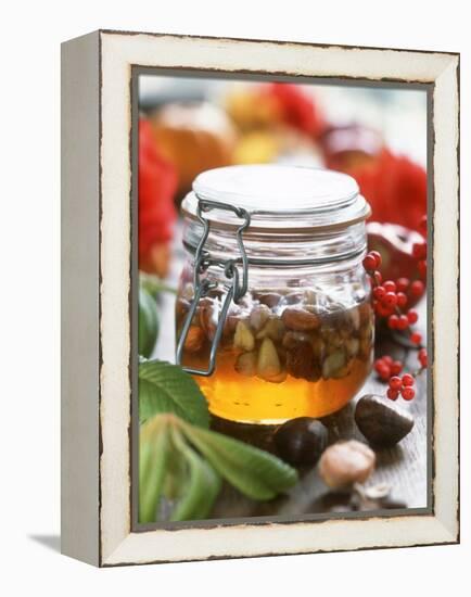 Honey with Chestnuts and Almonds in Jar-Alena Hrbkova-Framed Premier Image Canvas