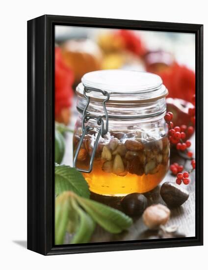 Honey with Chestnuts and Almonds in Jar-Alena Hrbkova-Framed Premier Image Canvas