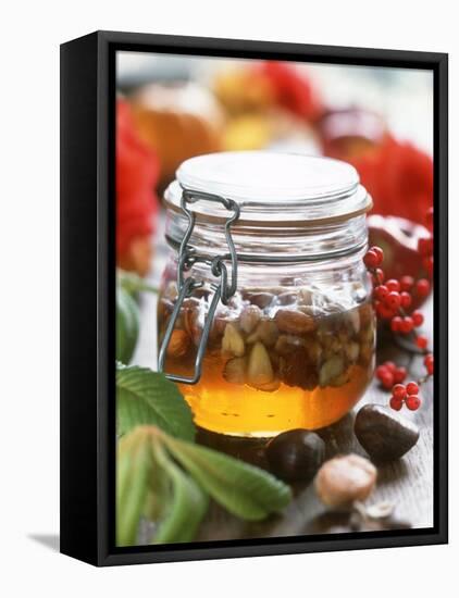 Honey with Chestnuts and Almonds in Jar-Alena Hrbkova-Framed Premier Image Canvas